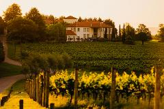 Yarra Valley Backroads Private Gourmet Food & Wine Tour