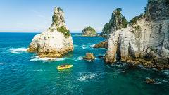 Ocean Leopard Tours - Cathedral Cove Highlights Tour