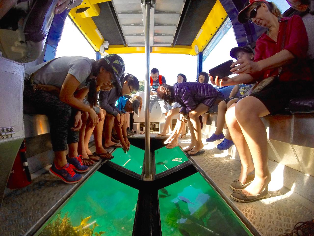 glass bottom boat tour cathedral cove