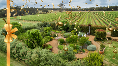 Wander in the Garden Gift Card