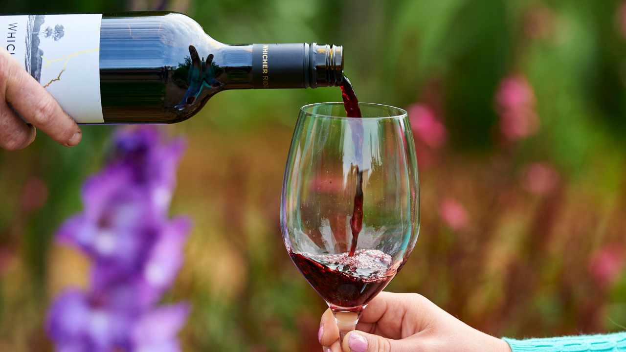 Whicher Ridge Wines: Soirée in the Garden at Whicher Ridge — Margaret River - Photo 1