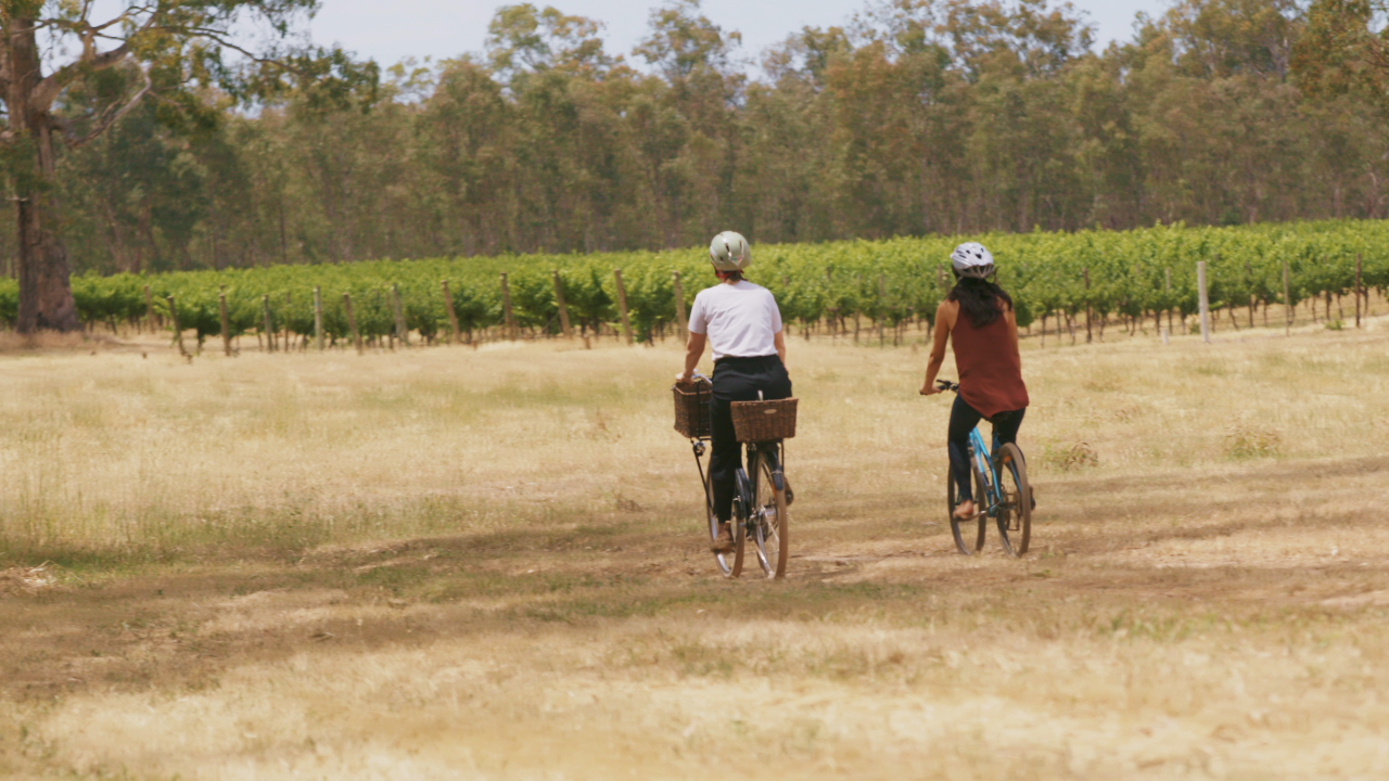 Tahbilk Bike Hire