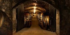 Tahbilk's Iconic 1860 Vines Shiraz Vertical Tasting