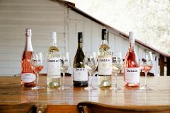 November Sunshine Wine Tasting 