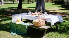  Valentine’s Picnic in the Orchard