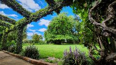 Tahbilk Estate Garden Tour & Lunch 