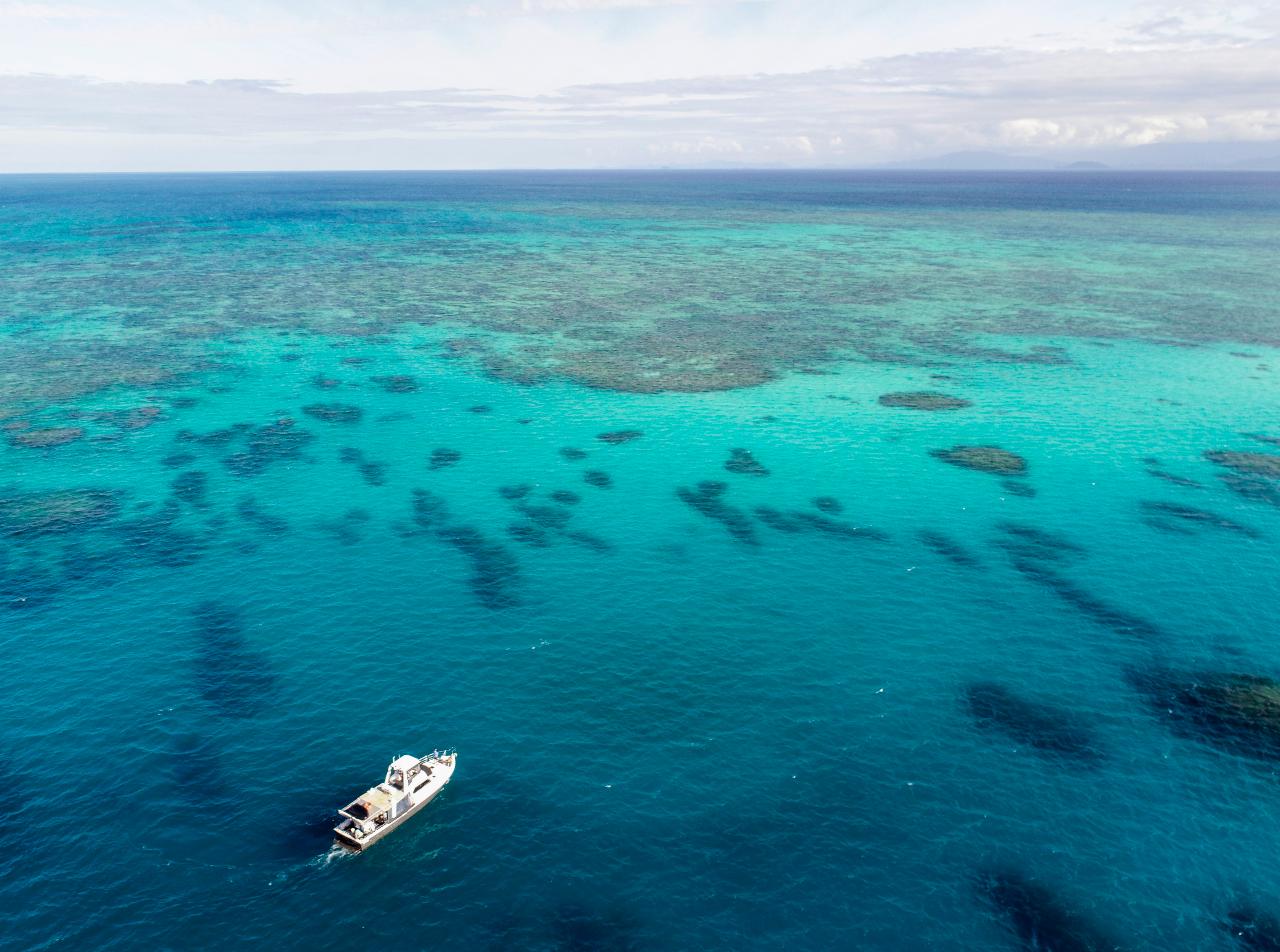Transfer from Cairns to Fitzroy Island/ Green Island up to 8 pax