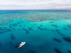 Transfer from Cairns to Fitzroy Island/ Green Island up to 8 pax
