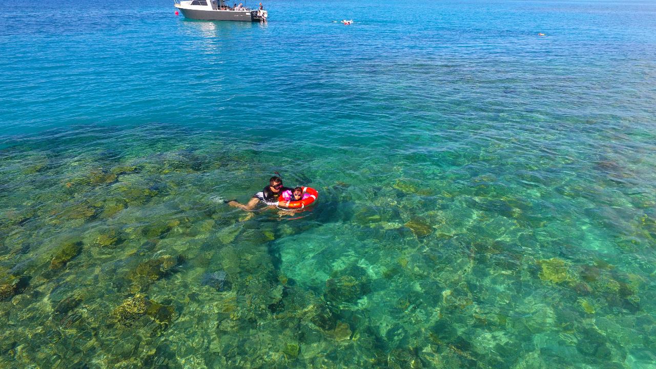 Full Day Fishing, Snorkelling & Cook Your Catch Private Charter (Blue Whaler)