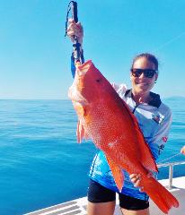 Full Day Reef Fishing Share Charter