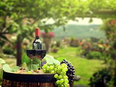 Private Tuscan Hills Tour: Chianti Classico Wine Tasting