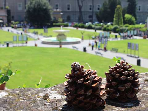 Vatican_Gardens_Rome