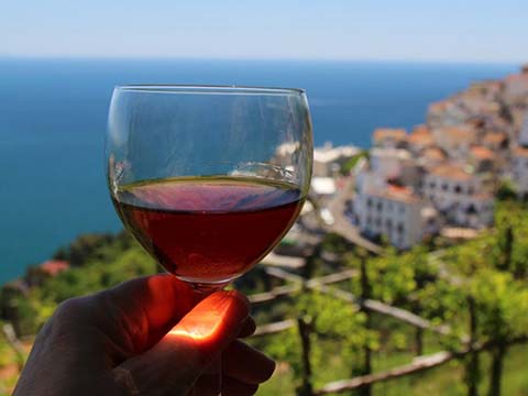 Private Amalfi Coast Wine Tour 