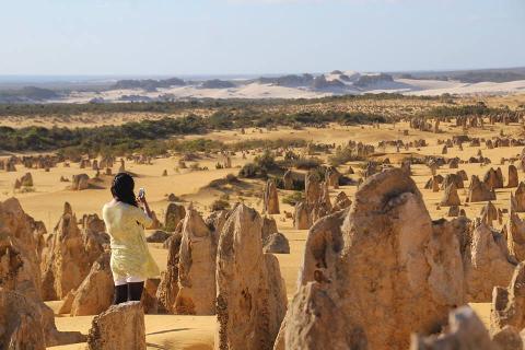 Pinnacles and Sandboarding Including Yanchep National Park 1 Day Tour