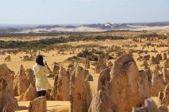 Pinnacles and Sandboarding Including Yanchep National Park 1 Day Tour