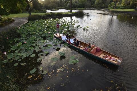 Summer Evening Cruise