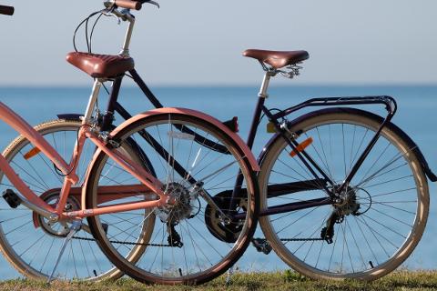 Cruisers and Commuters