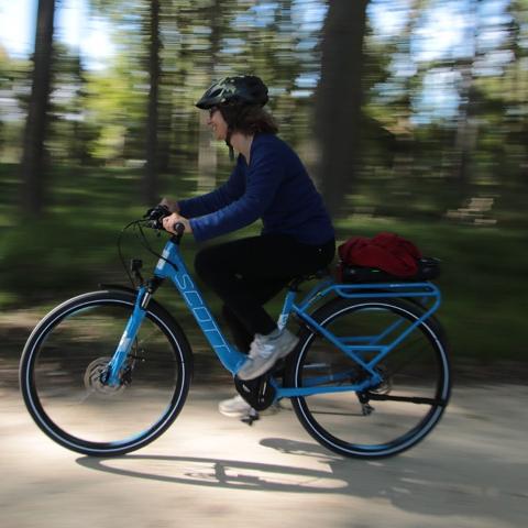 Electric Bike