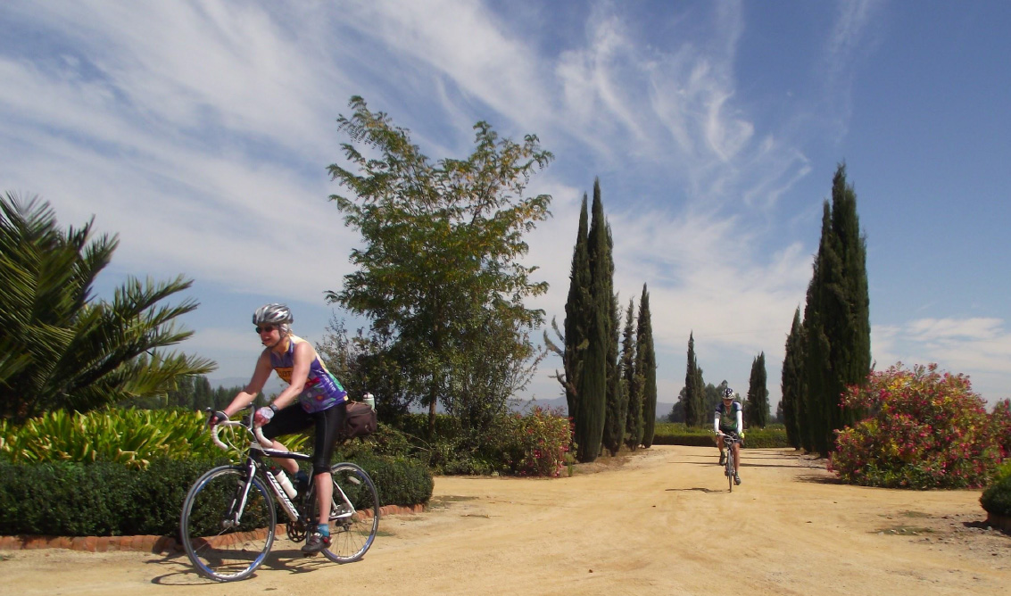 Vineyard Voyage: Cycling Through Chile’s Wine Country