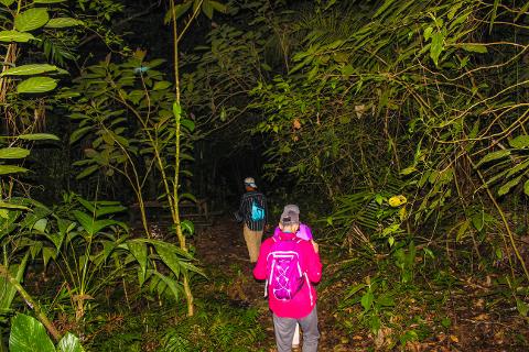 NIGHT HIKE - 2 Hours