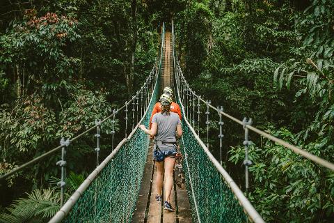 Zip_suspension_bridge