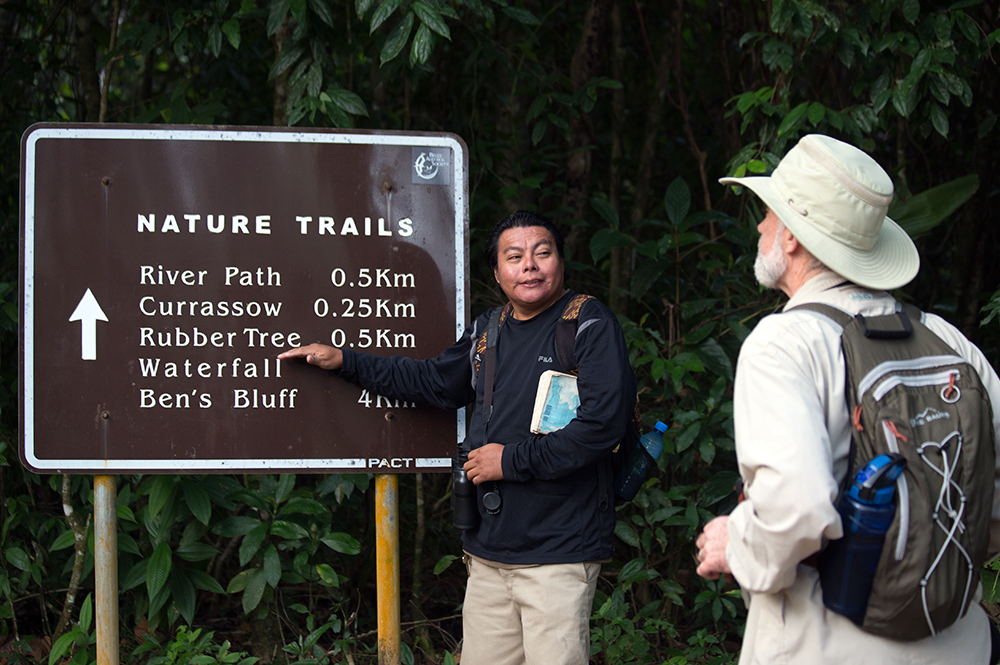 BIRD WATCHING AT BOCAWINA RAINFOREST NATIONAL PARK - FULL DAY