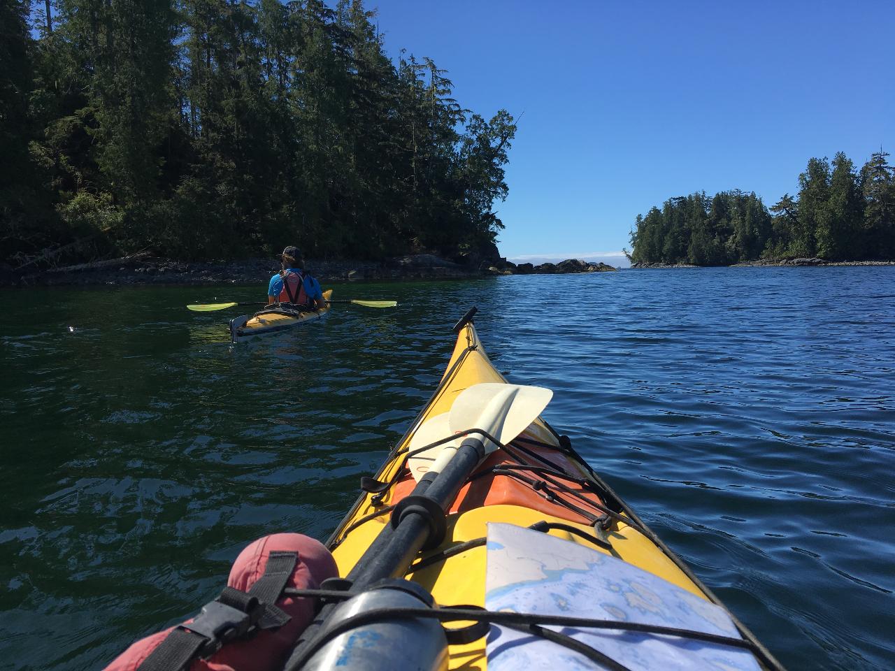 ucluelet harbour kayaking tour