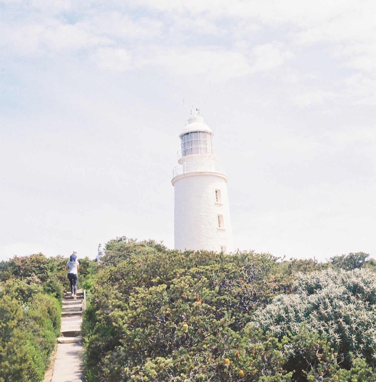 Private Tour Package 4 - Bruny Island, Freycinet National Park, Cradle Mountain, Launceston 