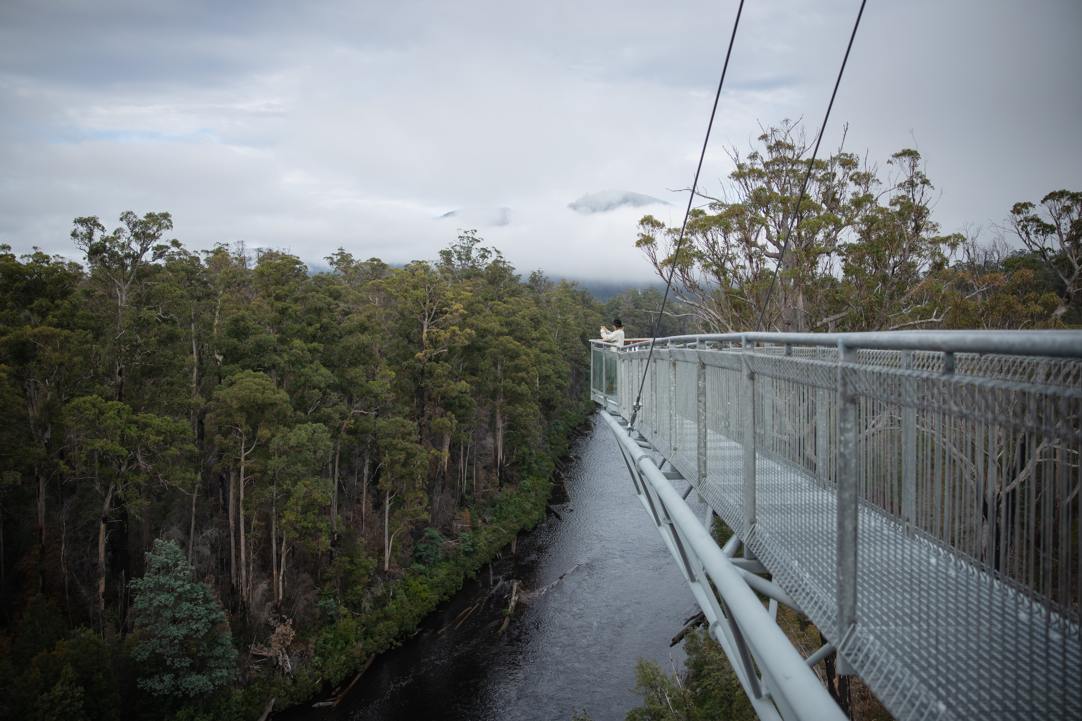 5 Day Tasmanian Highlights Tour - Hastings and Tahune, Port Arthur, Bruny Island, Mt Field to MONA, Hobart 