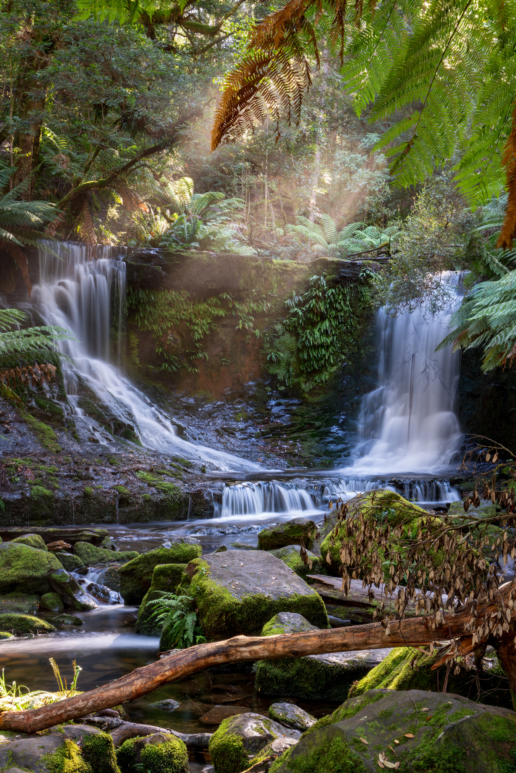 5 Day Tasmanian Highlights Tour - Hastings and Tahune, Port Arthur, Bruny Island, Mt Field to MONA, Hobart 