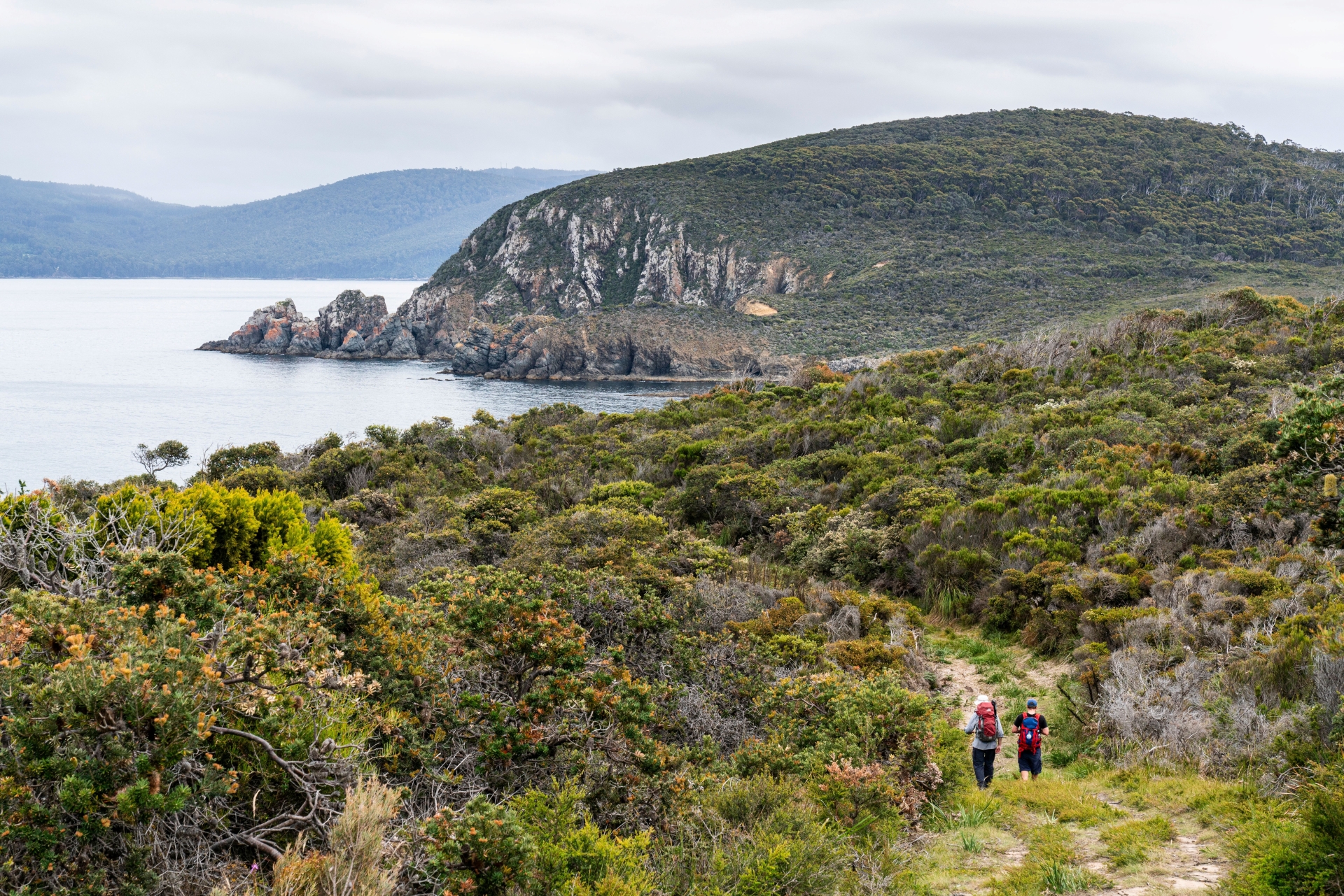 Bruny Island Active Adventure