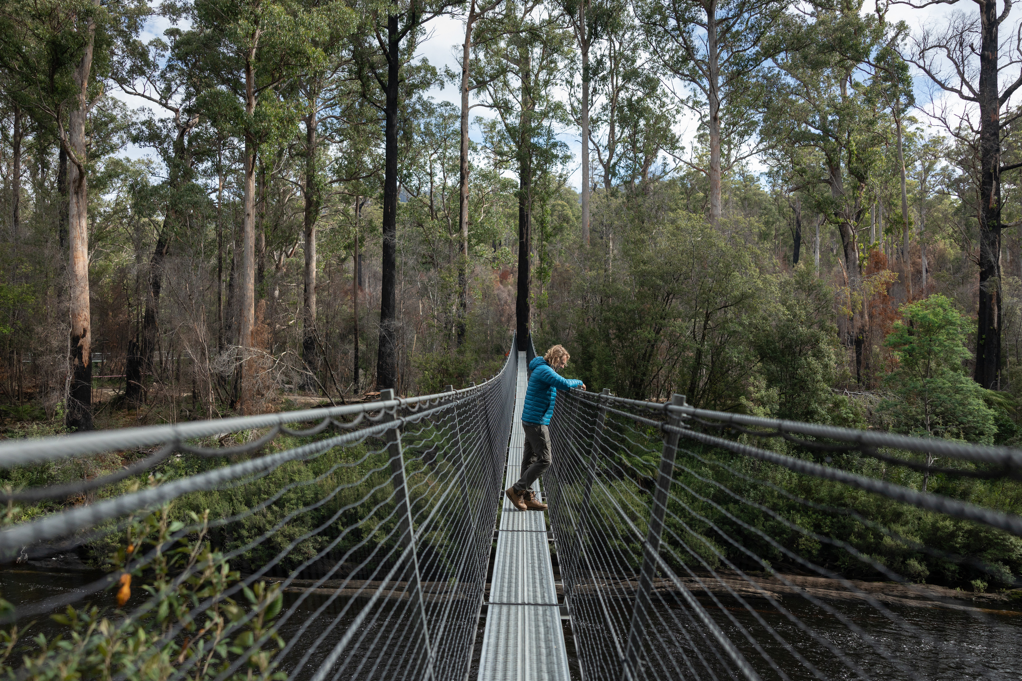 5 Day Tasmanian Highlights Tour - Hastings and Tahune, Port Arthur, Bruny Island, Mt Field to MONA, Hobart 