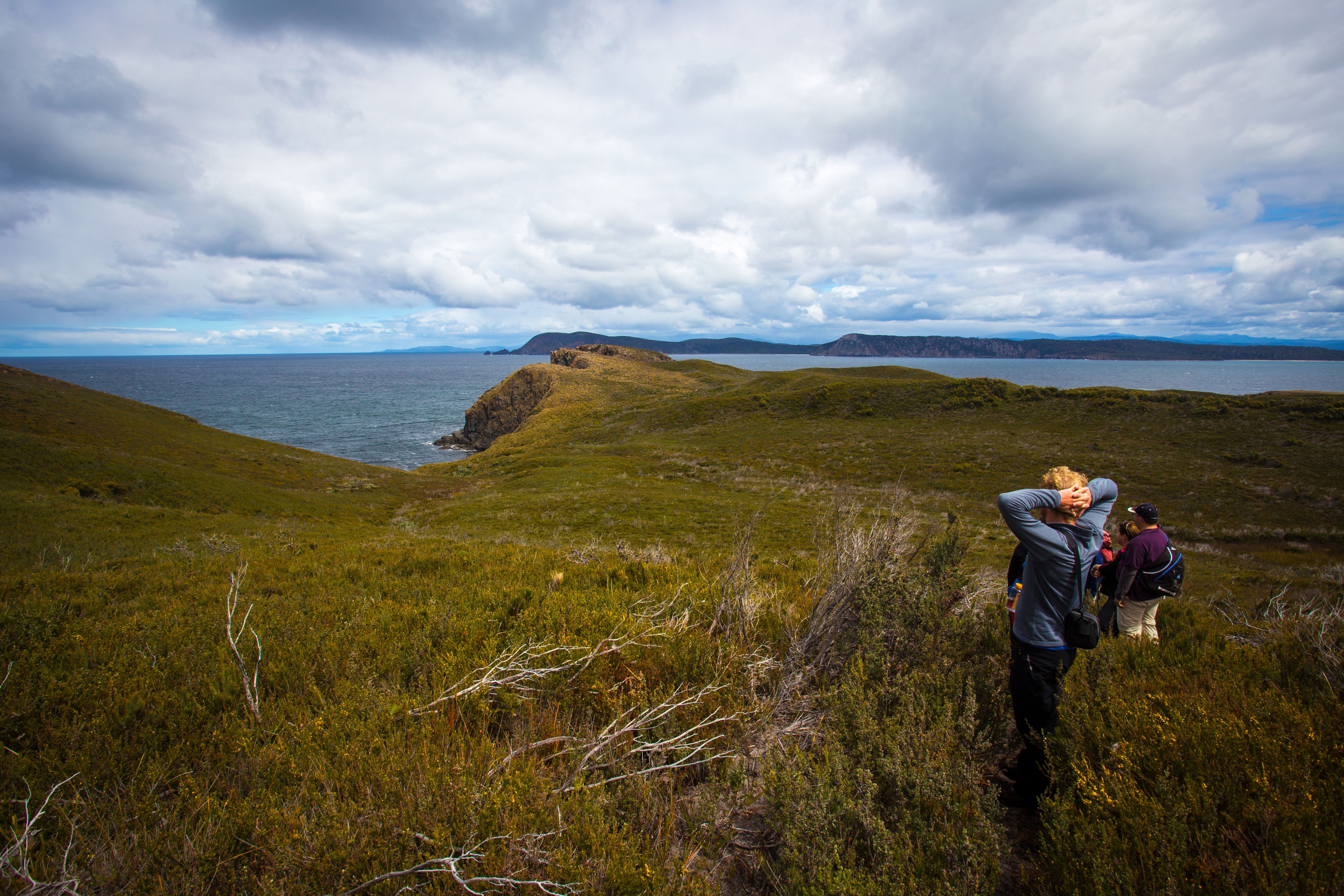 Bruny Island Active Adventure