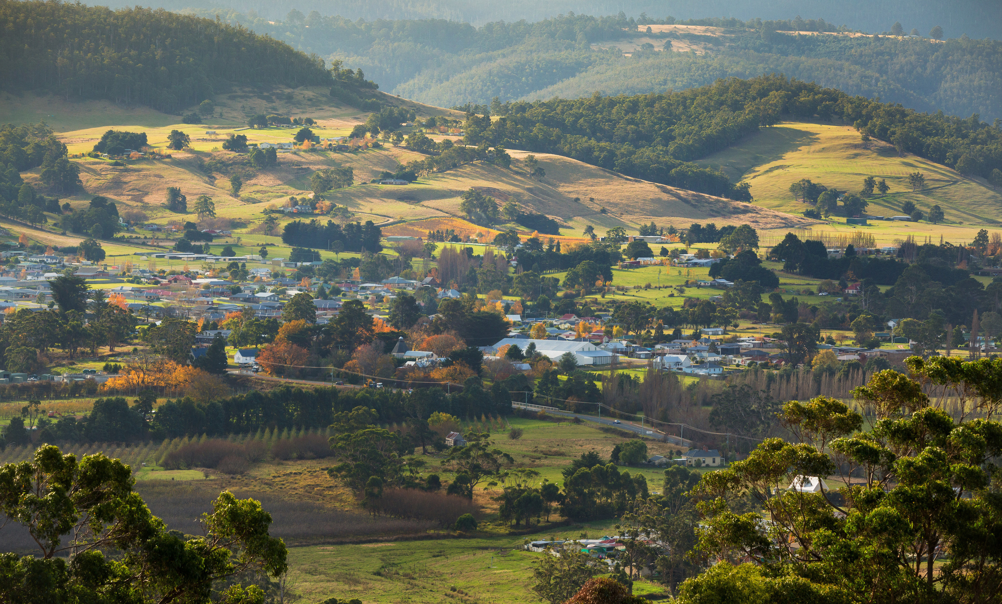 Hastings cave, Tahune Airwalk and the Huon tasting trail