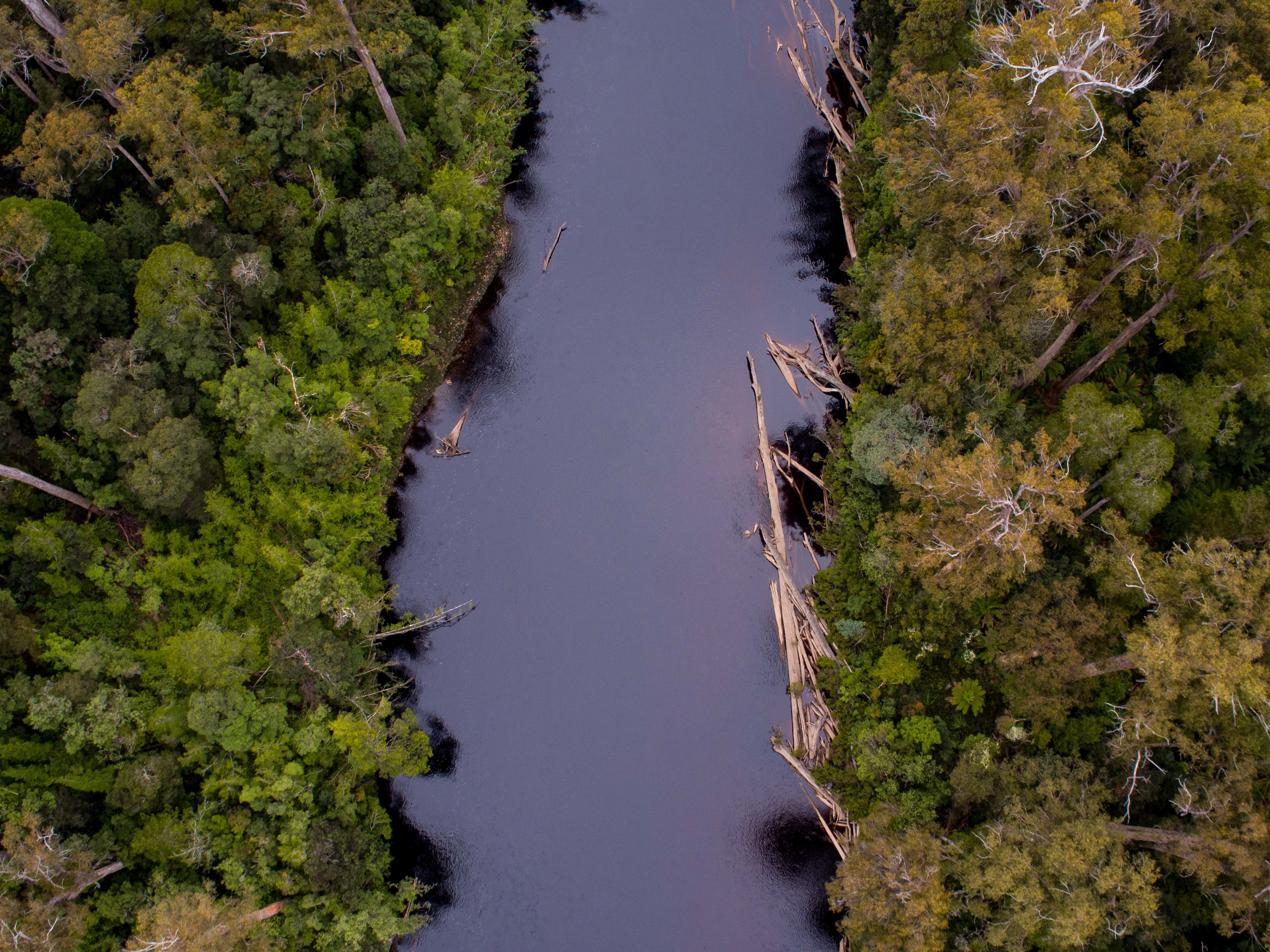 Hastings cave, Tahune Airwalk and the Huon tasting trail