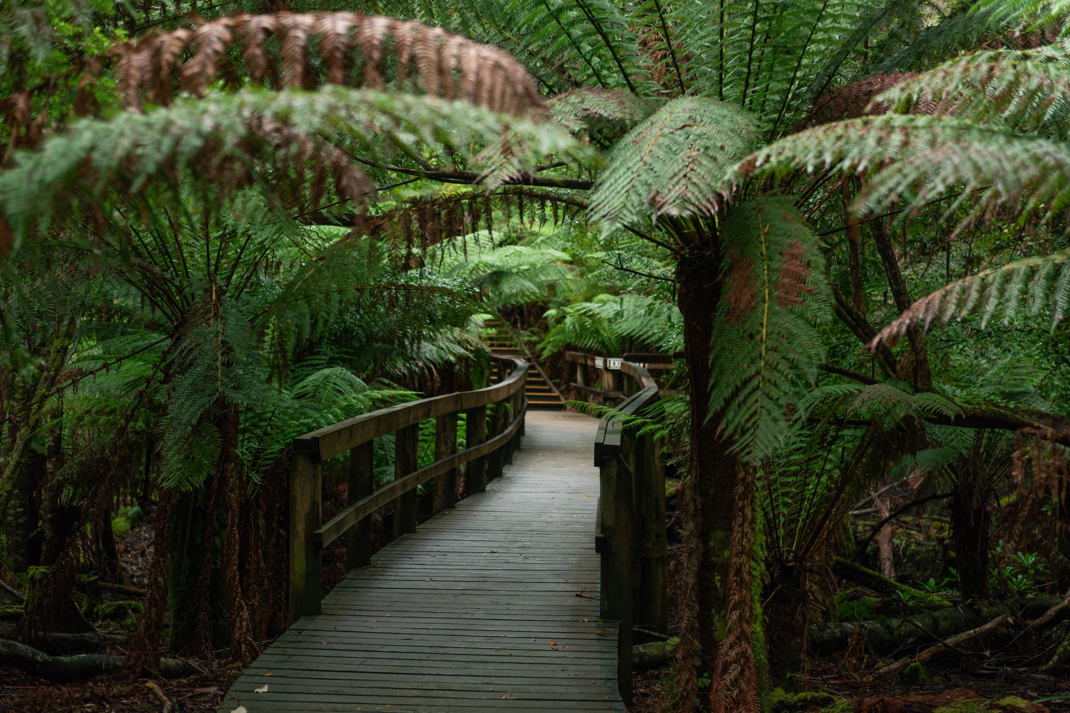 Hastings cave, Tahune Airwalk and the Huon tasting trail