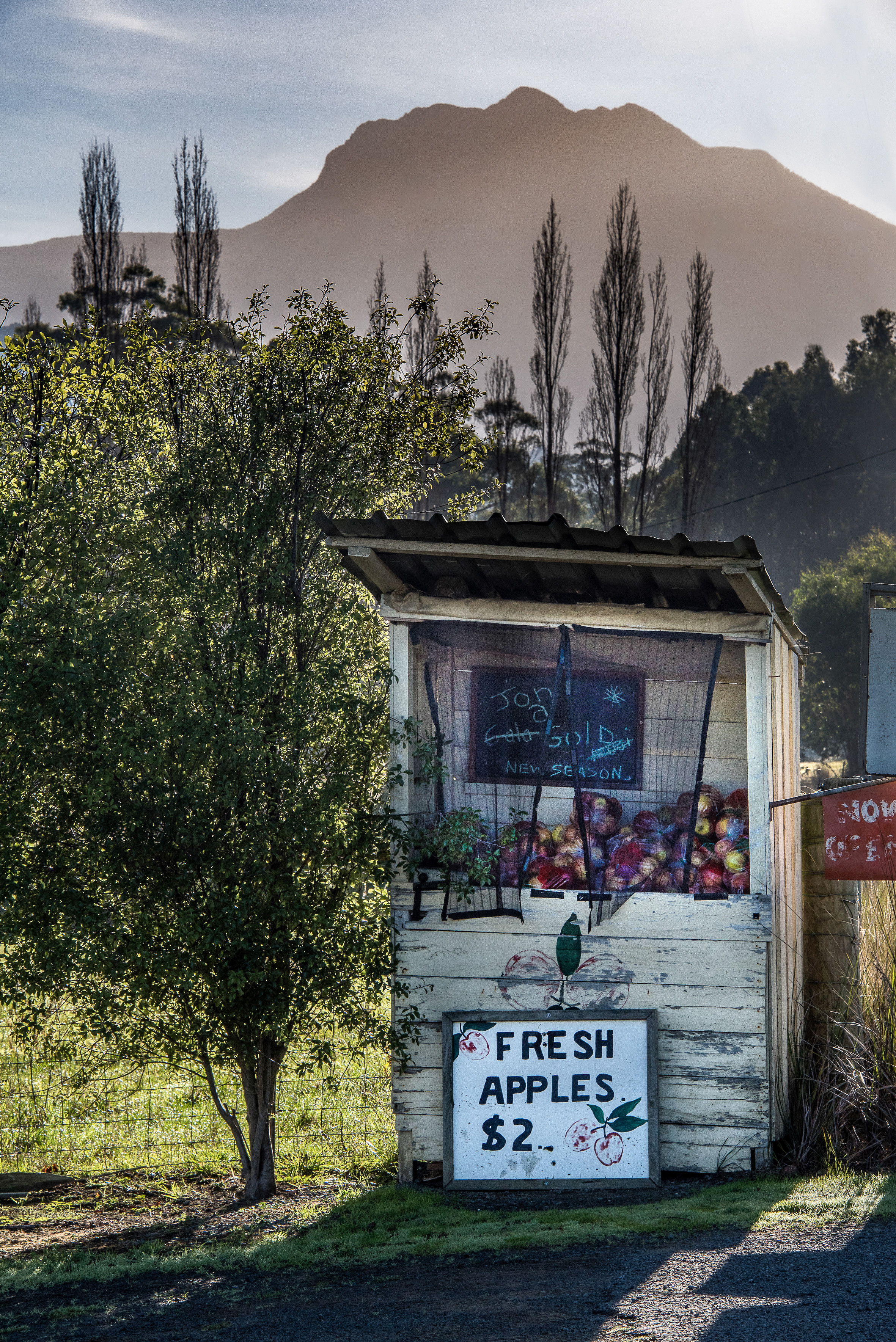 Hastings cave, Tahune Airwalk and the Huon tasting trail