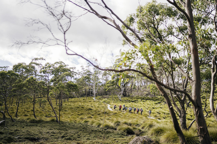Cradle Mountain Explorer: Hobart to Launceston