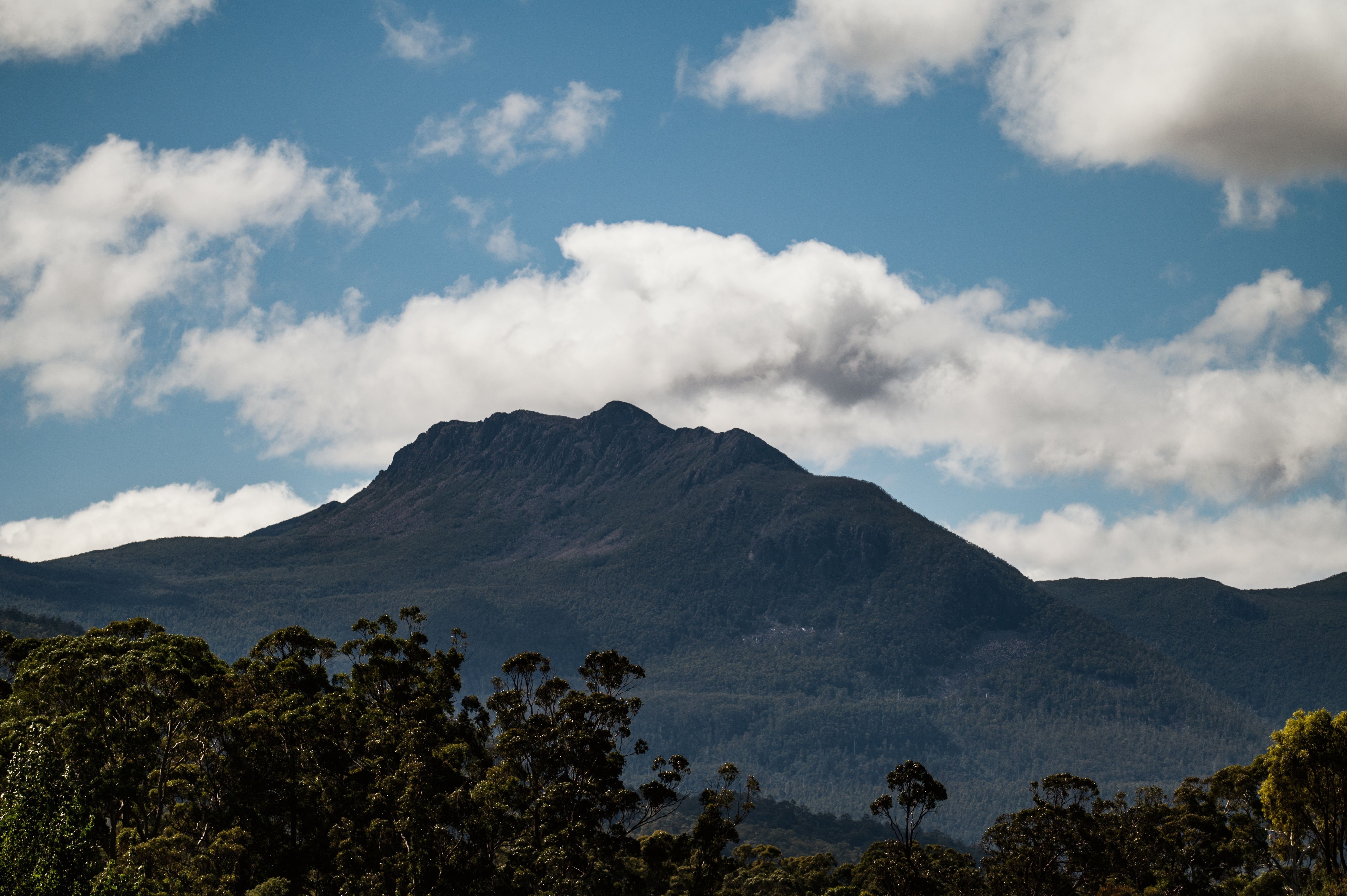 Hastings cave, Tahune Airwalk and the Huon tasting trail