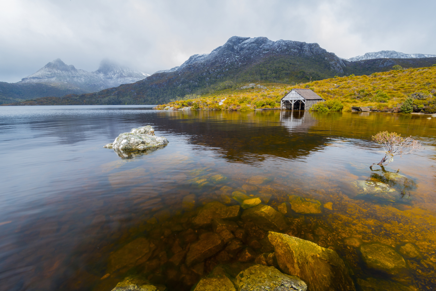 Shore Excursion - Cradle Mountain Shuttle Bus 