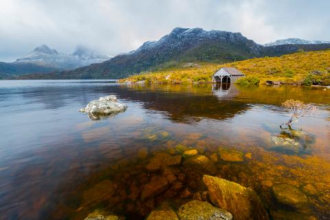 Shore Excursion – Cradle Mountain day tour Tasmania Australia