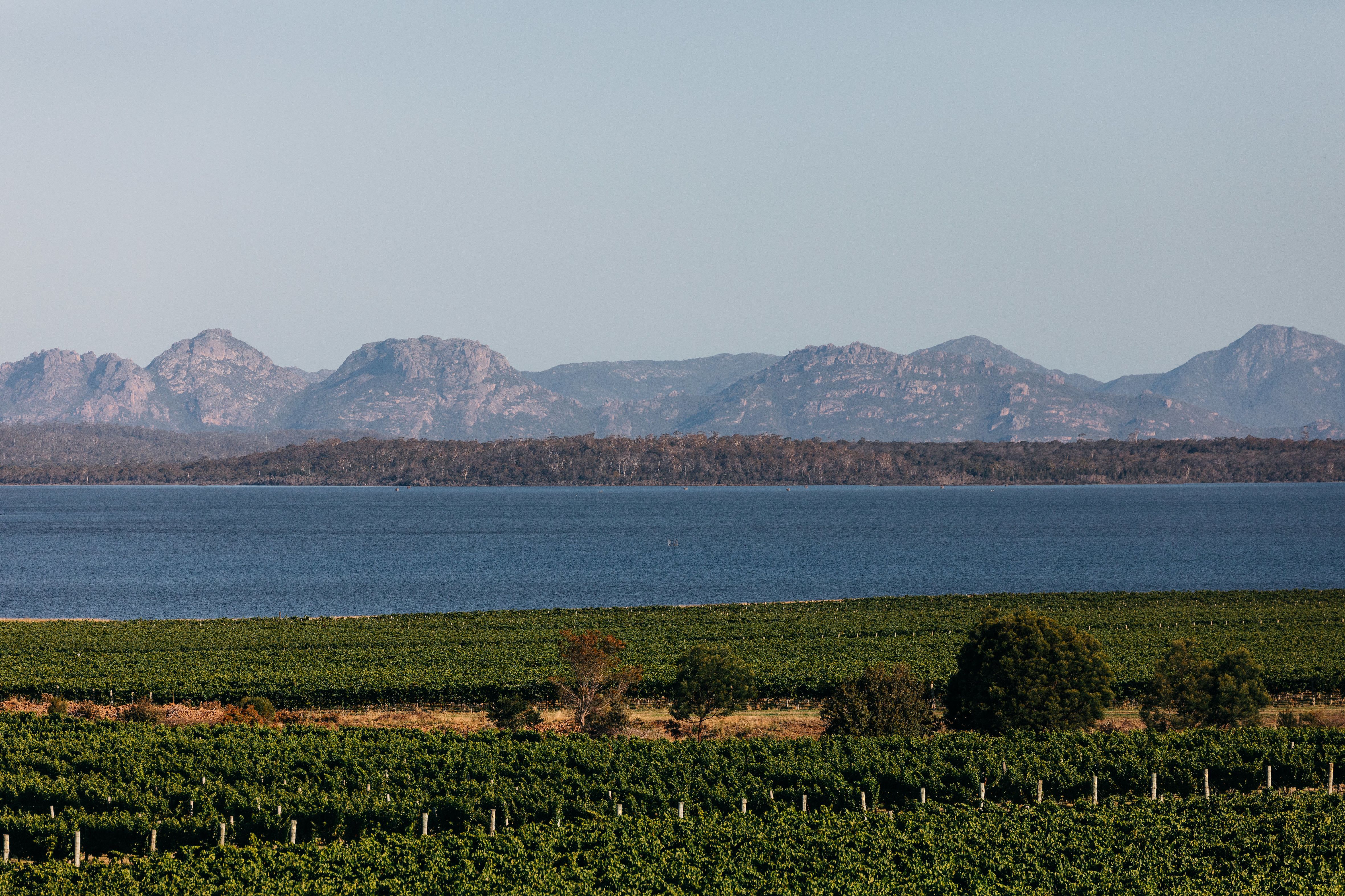 Private Tour Package 4 - Bruny Island, Freycinet National Park, Cradle Mountain, Launceston 