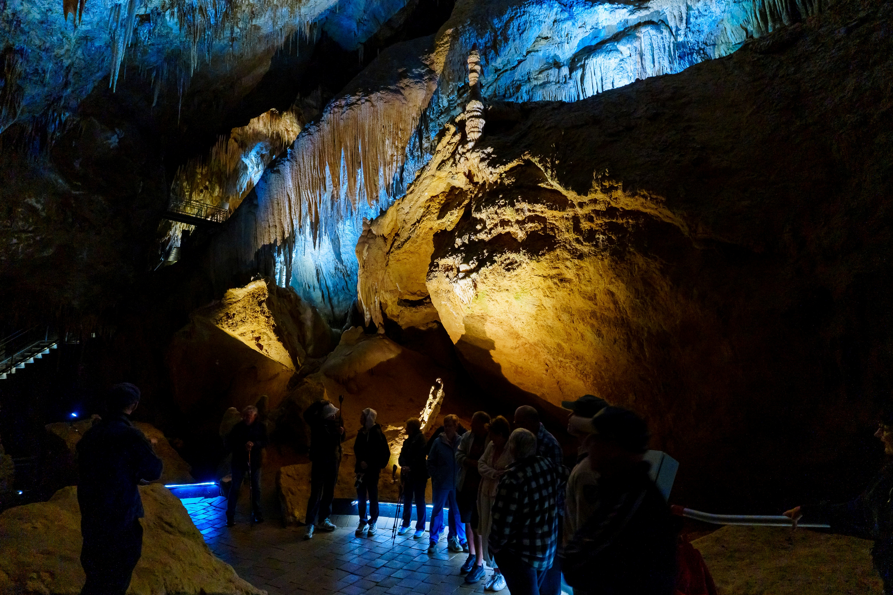 Hastings Caves, Tahune Airwalk and the Huon tasting trail