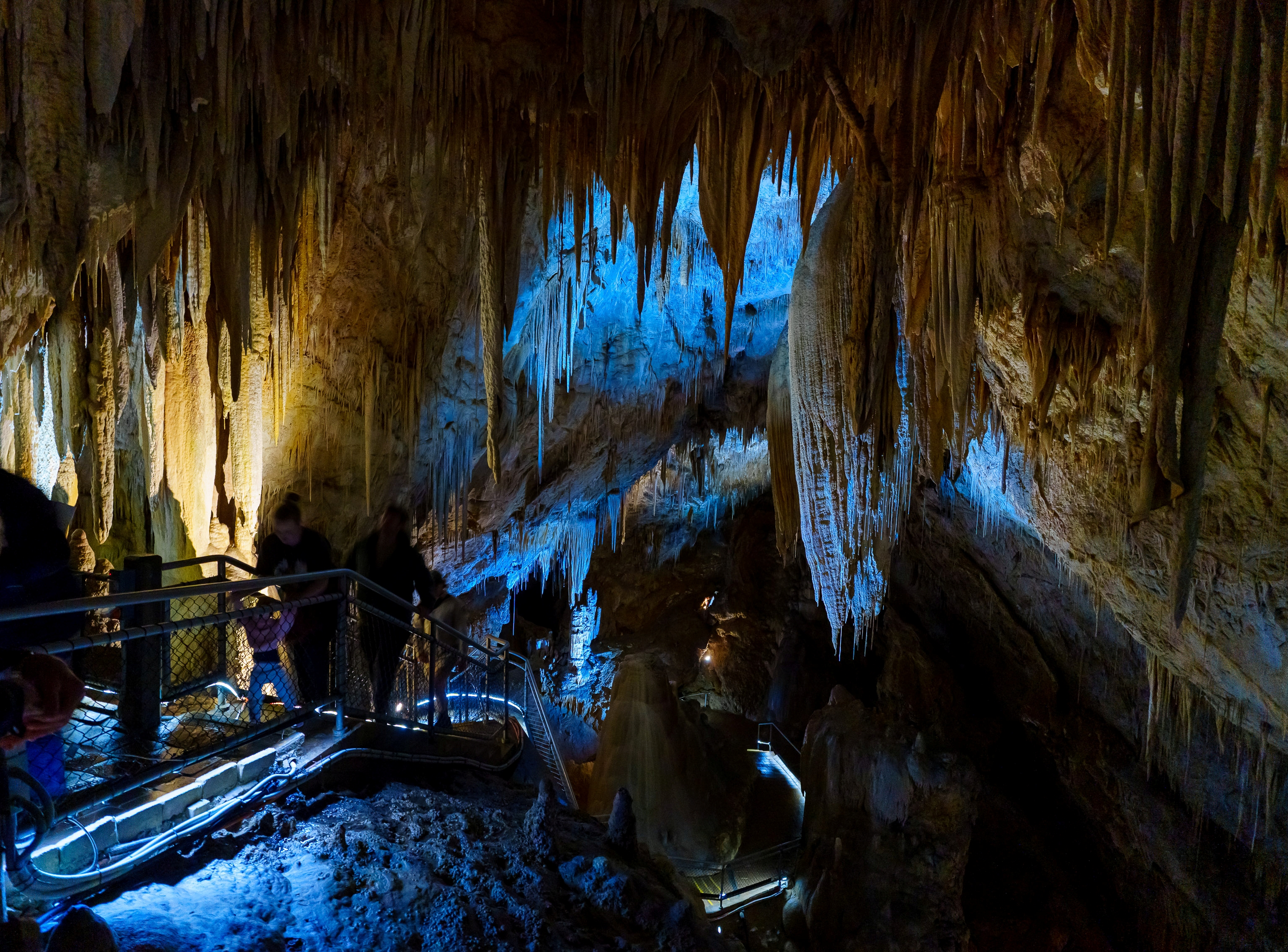 Hastings Caves, Tahune Airwalk and the Huon tasting trail