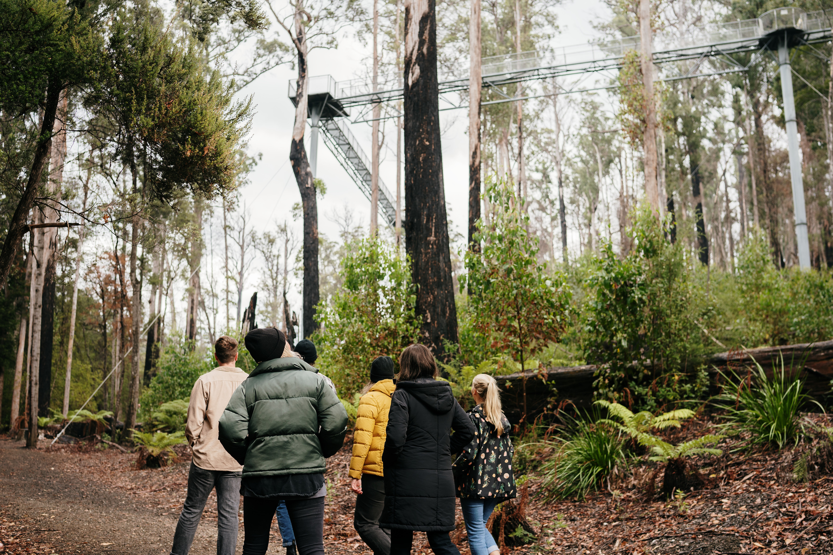 5 Day Tasmanian Highlights Tour - Hastings and Tahune, Port Arthur, Bruny Island, Mt Field to MONA, Hobart 