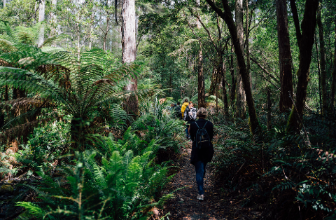 Shore Excursion – Bruny Island day tour Tasmania Australia