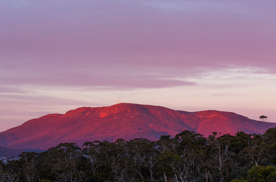 2 Day Tasmanian Highlights Tour - Hobart Highlights & Bruny Island 