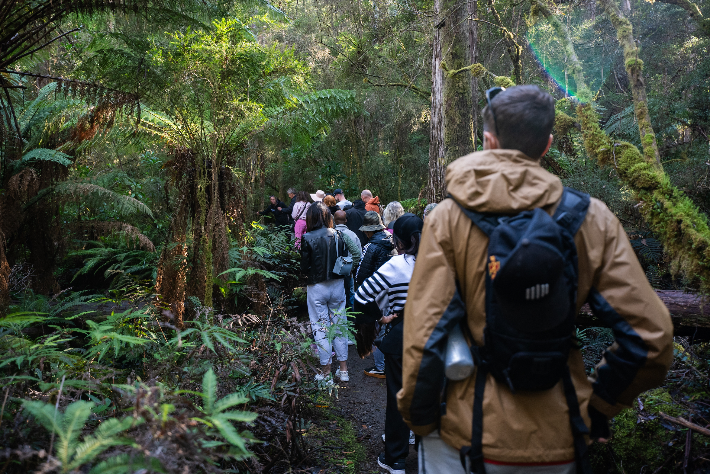 Bruny Island Active Adventure