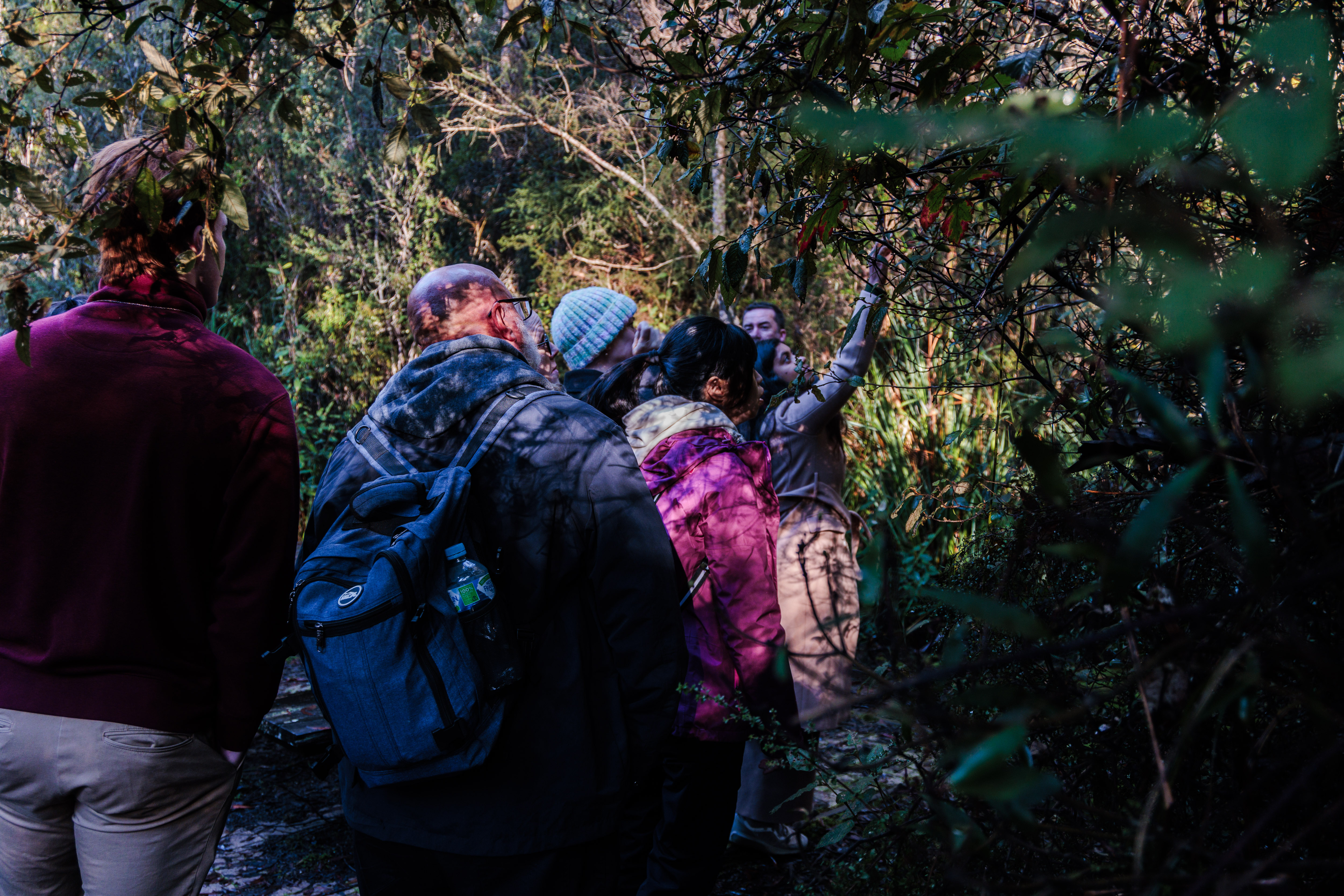 Bruny Island Active Adventure