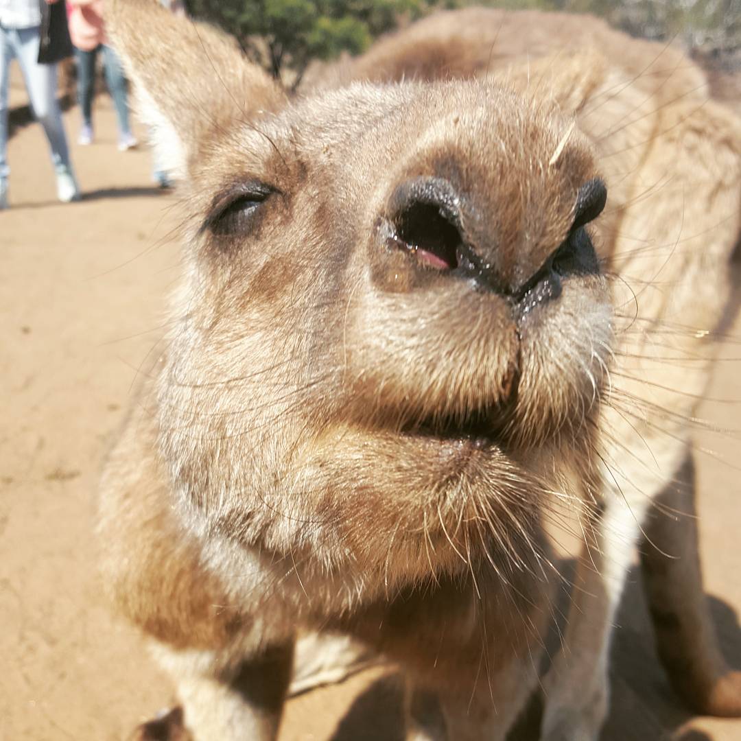 7 Day Tasmania Signature Experience